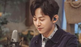 刘大锤爆料何炅视频播放,何炅视频幕后真相，播放量惊人！